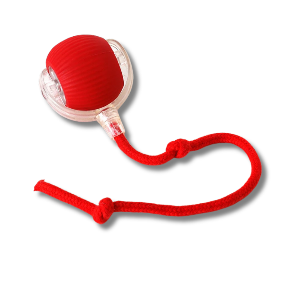 Interaktiver Spielball mit Schwanz für Hunde