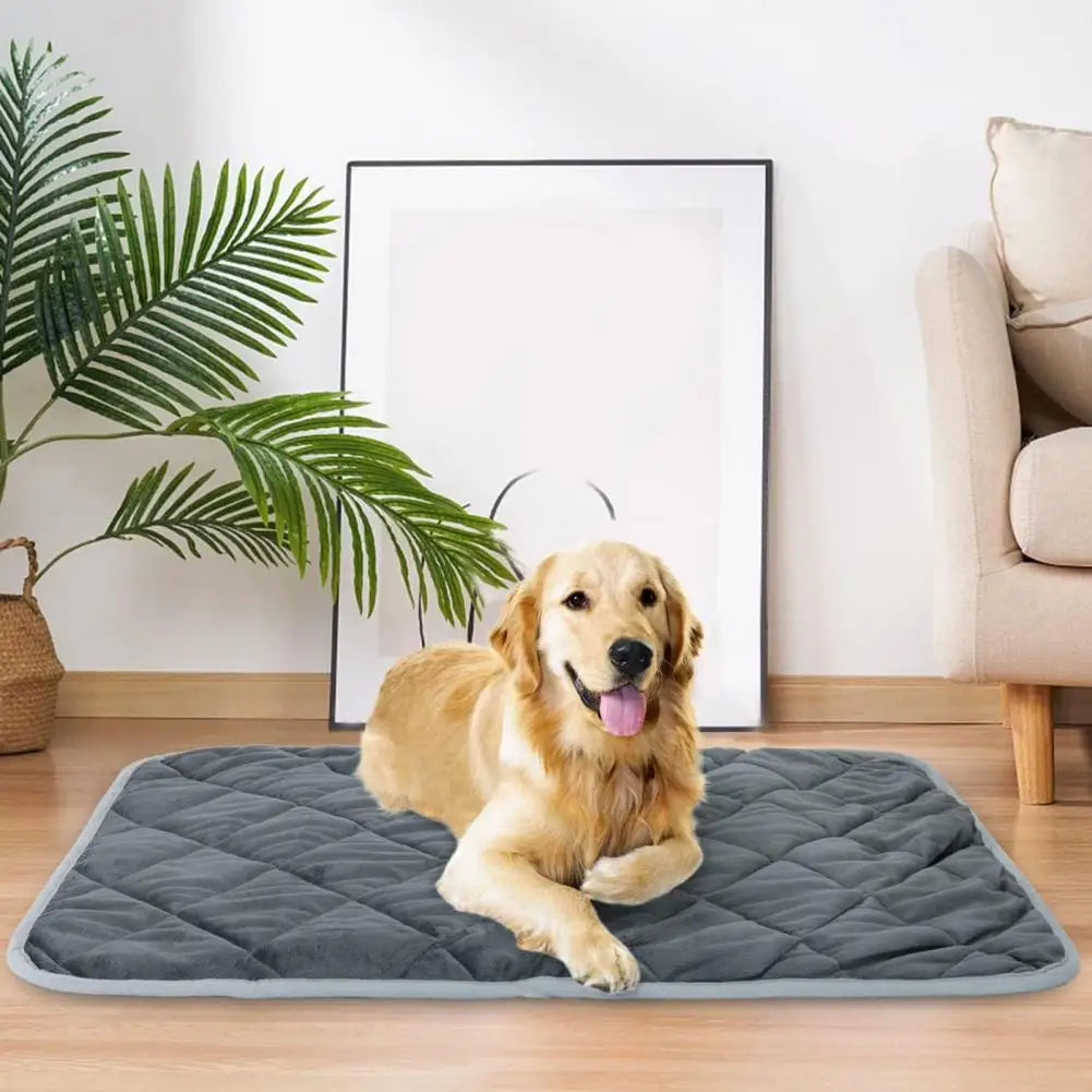 Wärmematte für Hunde – Wohltuende Wärme und Komfort | 1+1 AKTION