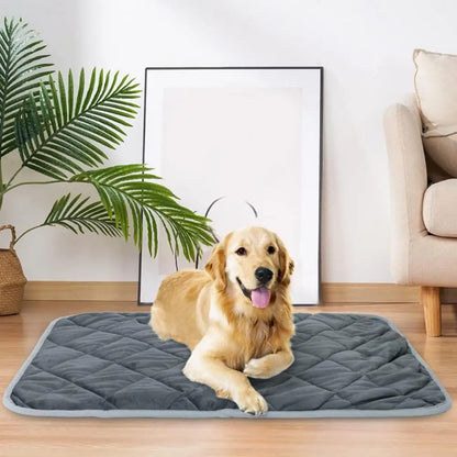 Wärmematte für Hunde – Wohltuende Wärme und Komfort | 1+1 AKTION