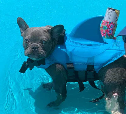 Hundeschwimmweste mit Flossen für sicheren Wasserspaß