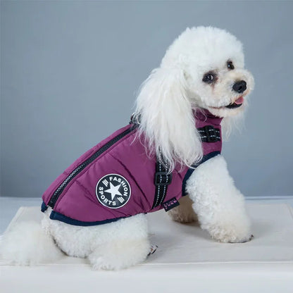 WinterPaw - Hundemantel