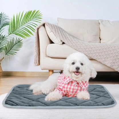 Wärmematte für Hunde – Wohltuende Wärme und Komfort | 1+1 AKTION