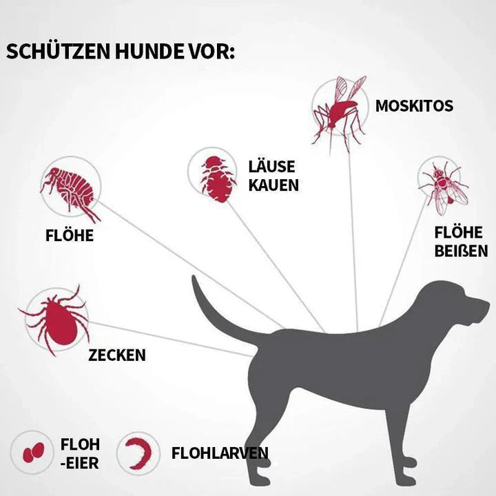 Anti-Floh & Zecken Badebombe Für Haustiere