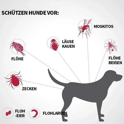 Anti-Floh & Zecken Badebombe Für Haustiere