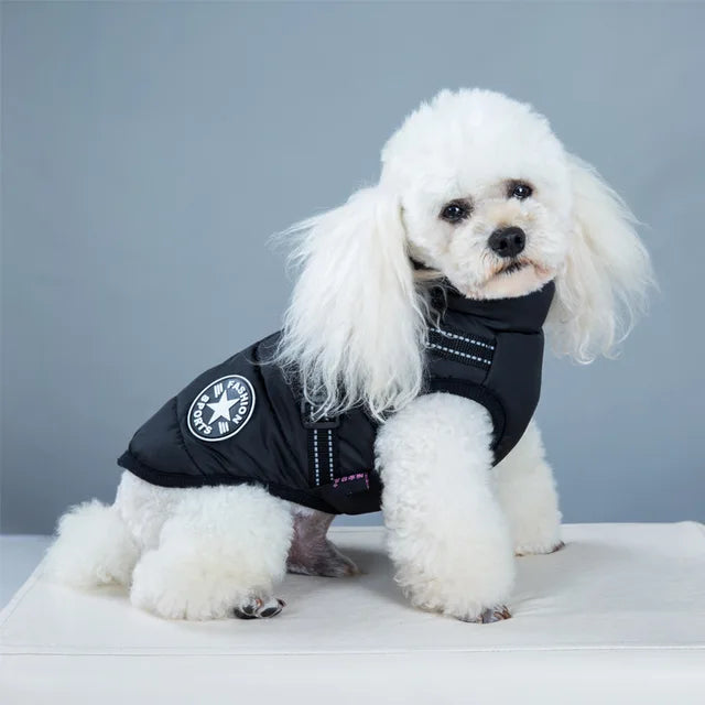 WinterPaw - Hundemantel
