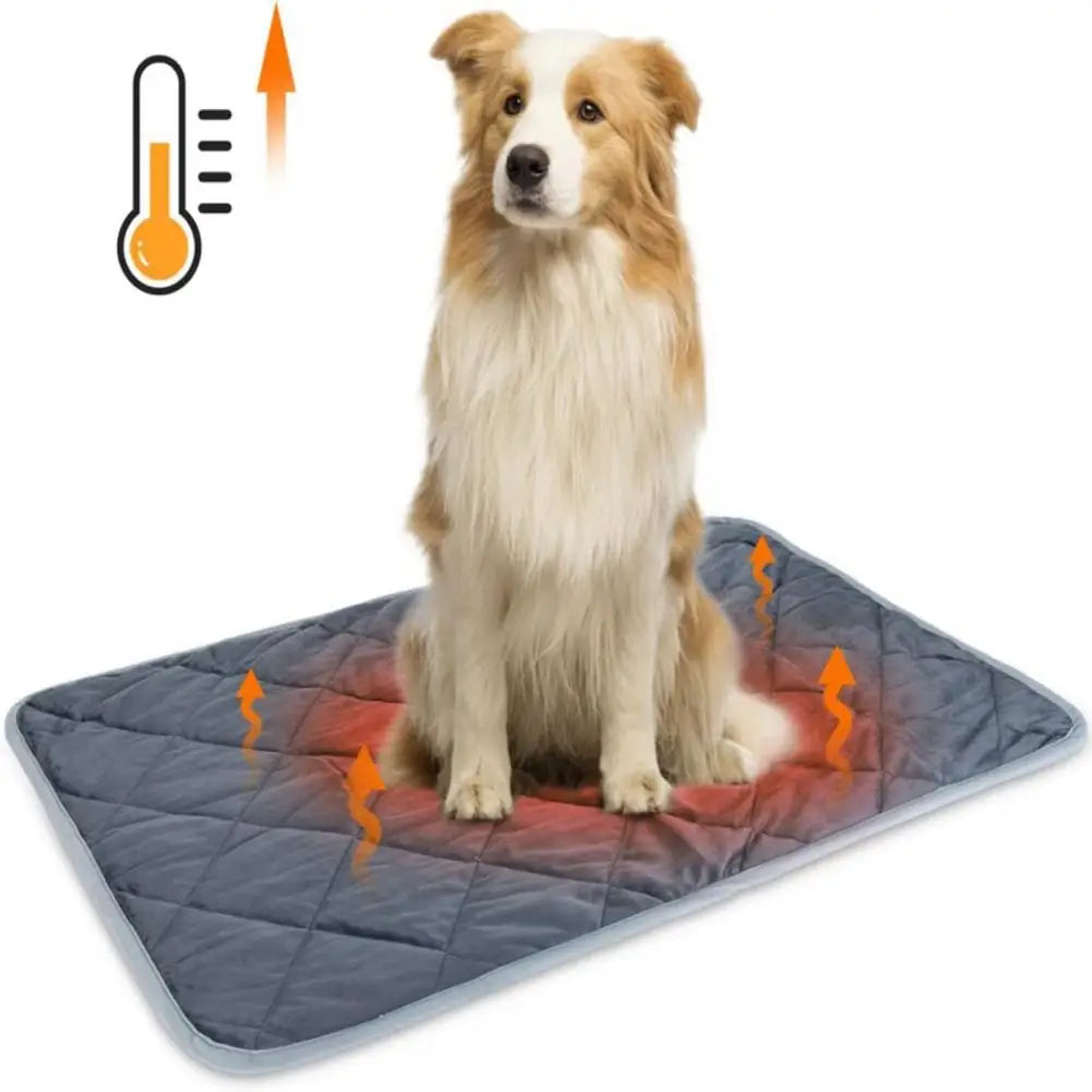 Wärmematte für Hunde – Wohltuende Wärme und Komfort | 1+1 AKTION