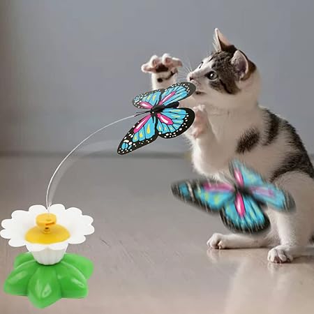 Fliegender Schmetterling Katzenspielzeug