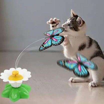 Fliegender Schmetterling Katzenspielzeug