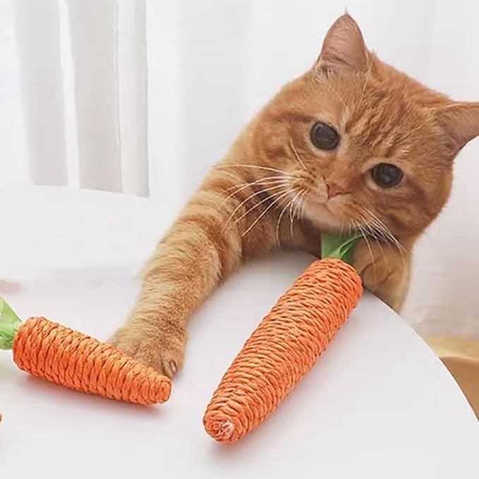 Katzen-Kratzkarotte – Interaktives Sisal-Spielzeug Für Verspielte Stubentiger