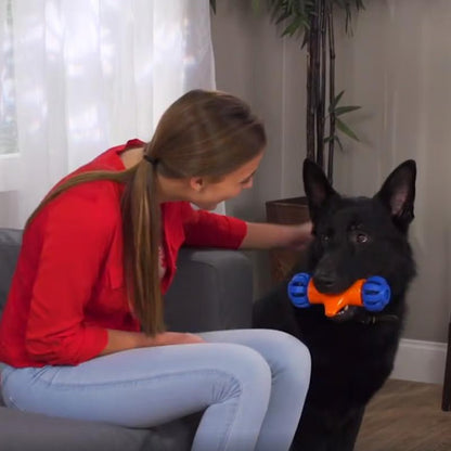 Interaktives Selbstfahrendes Hundespielzeug