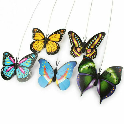 Fliegender Schmetterling Katzenspielzeug