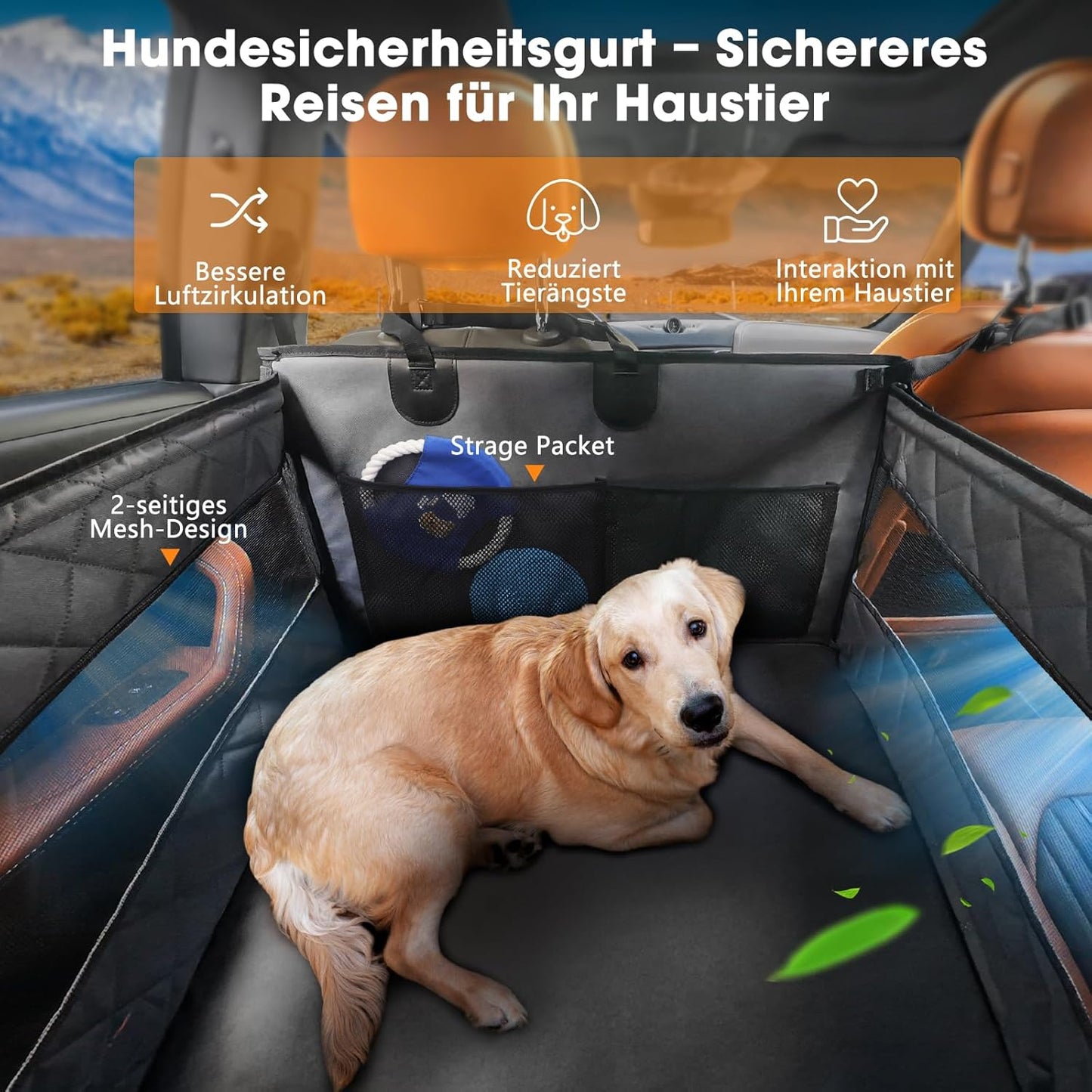 Hunde Hartboden Einzelsitz