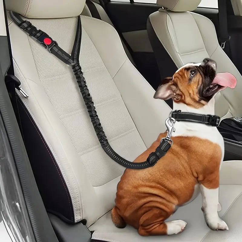 Hunde Auto Sicherheitsgurt