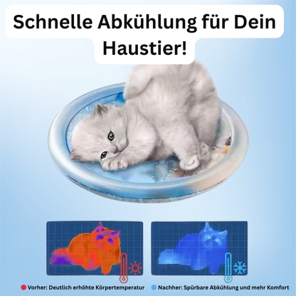 AquaChill™ Premium – Die Premium Kühlmatte für glückliche Katzen