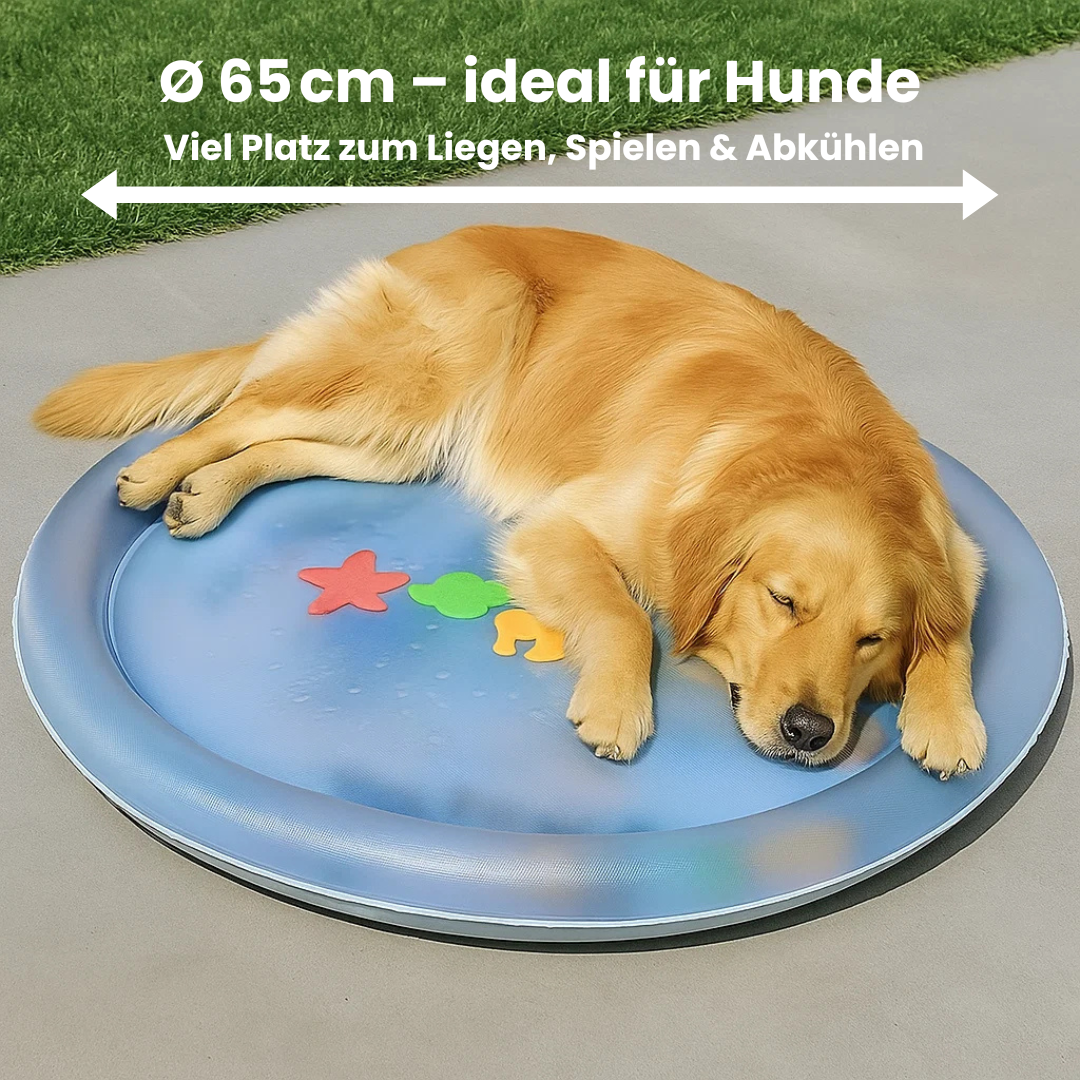 AquaChill™ Premium – Die Premium Kühlmatte für glückliche Hunde