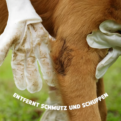 Handschuh Reinigungstücher für Haustiere