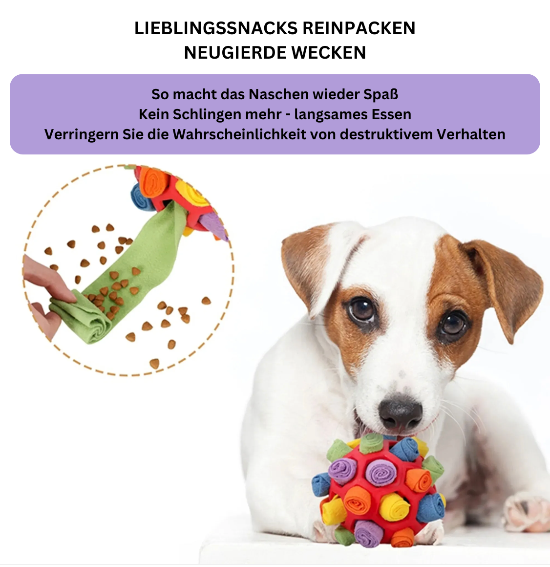 SchnüffelBall – Interaktives Leckerli-Spielzeug