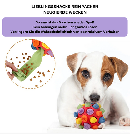 SchnüffelBall – Interaktives Leckerli-Spielzeug