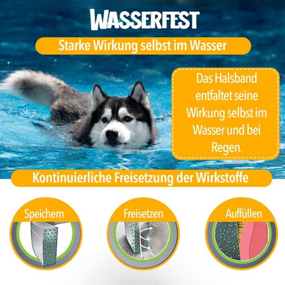 NaturaGuard - Zecken- und Flohschutz Halsband