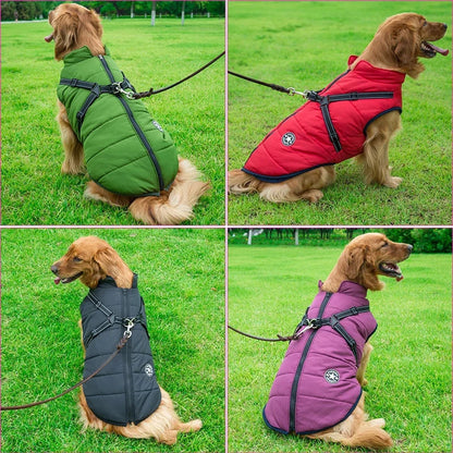 WinterPaw - Hundemantel