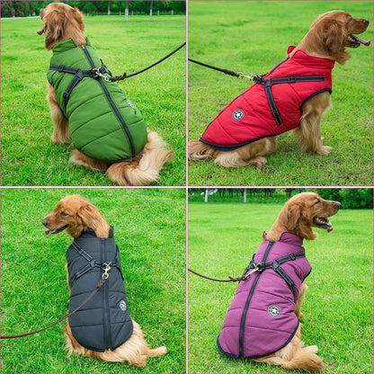 WinterPaw - Hundemantel