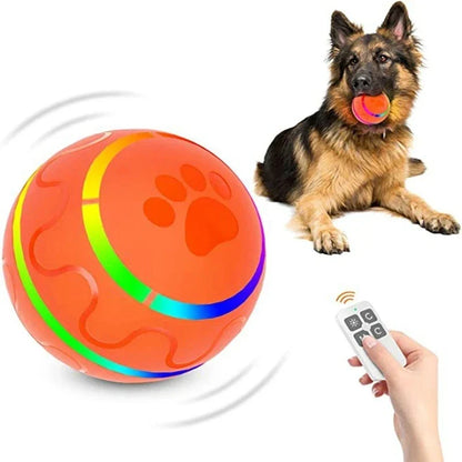 Interaktiver Rollball für Hunde – mit LED & Fernbedienung