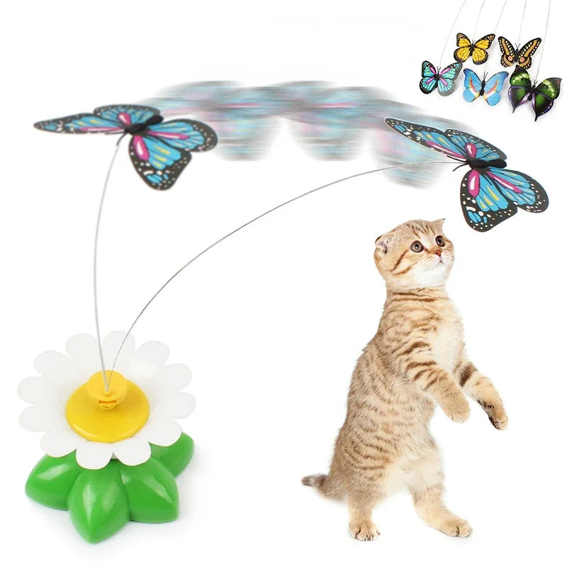 Fliegender Schmetterling Katzenspielzeug