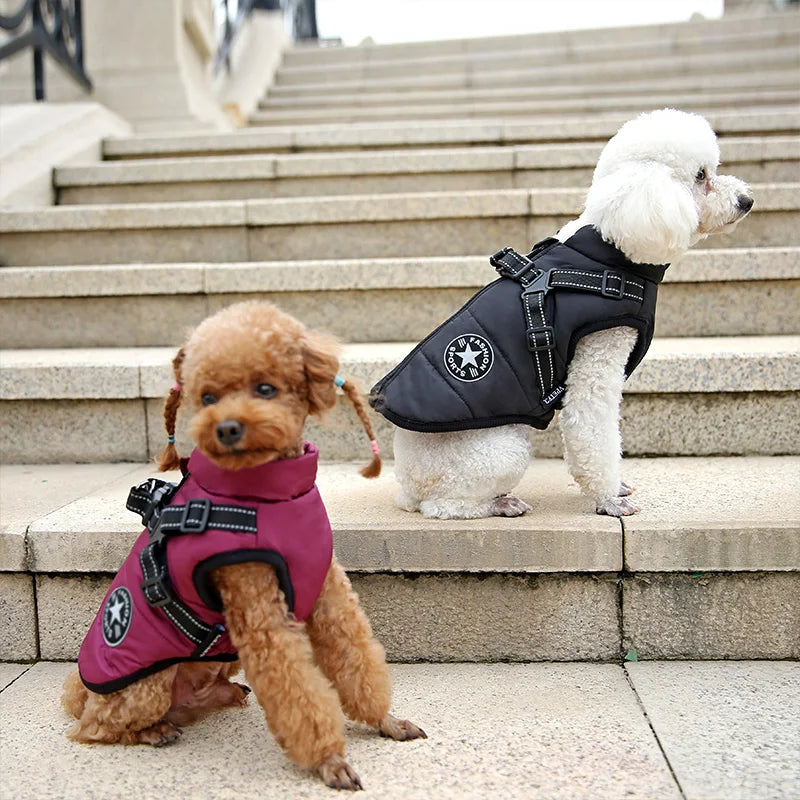 WinterPaw - Hundemantel