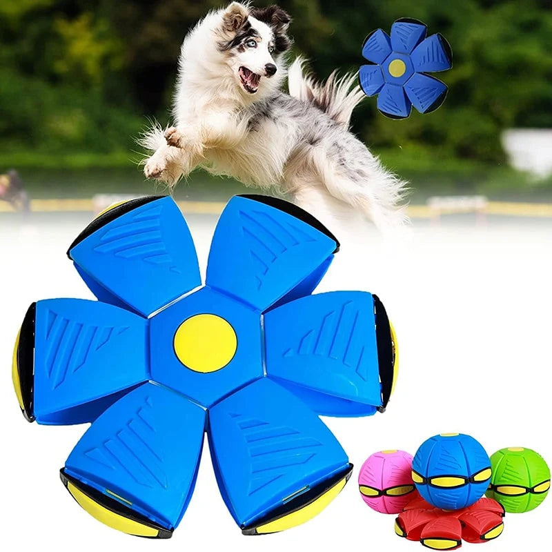 MagicBall 2-in-1 Frisbee