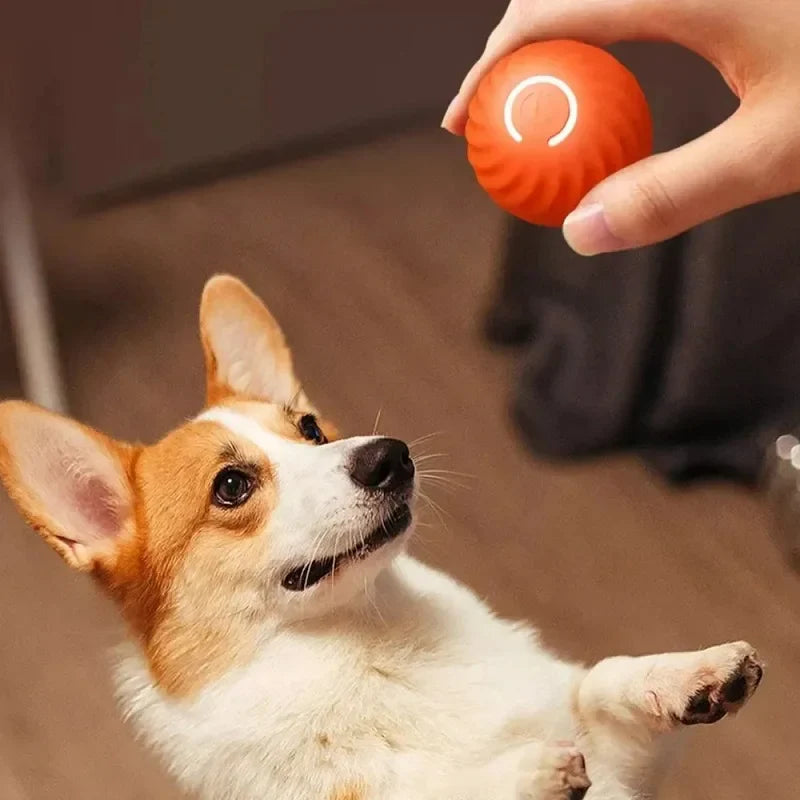 Interaktiver Springball