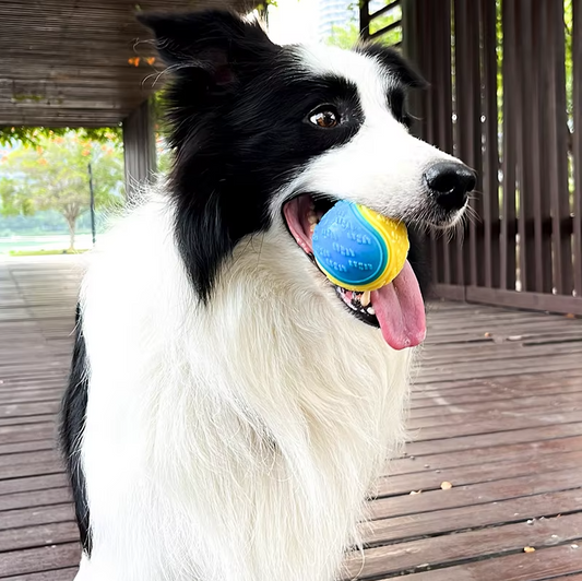 Interaktiver Quietscherball – Robustes Kauspielzeug Für Hunde