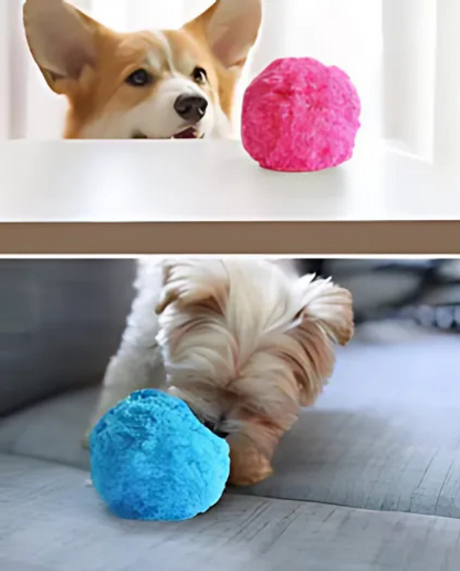 Aktiver RollBall für Hunde