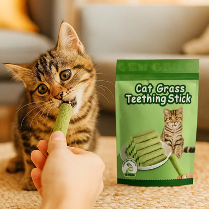 Katzengras Sticks für bessere Verdauung und Gesunde Zähne