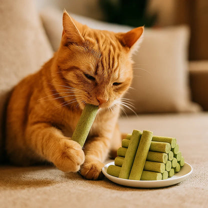 Katzengras Sticks für bessere Verdauung und Gesunde Zähne