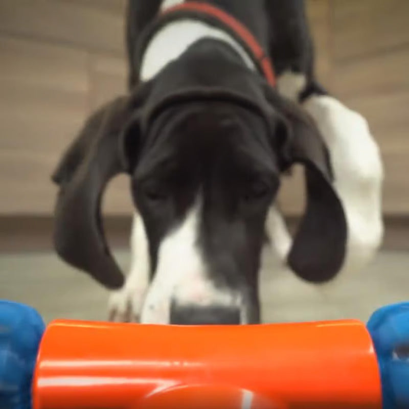 Interaktives Selbstfahrendes Hundespielzeug