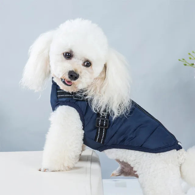 WinterPaw - Hundemantel