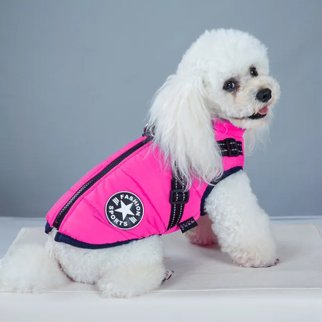 WinterPaw - Hundemantel