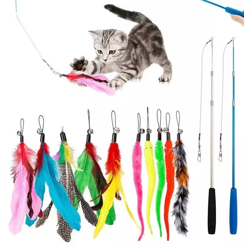 Katzenangel-Set – Interaktives Spielzeug Mit Federn & Anhängern