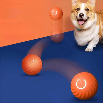 Interaktiver Springball